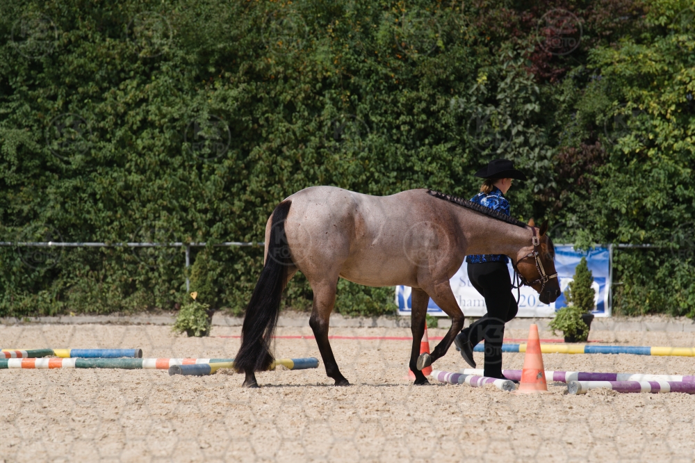 s_batch_A9_00164.jpg
